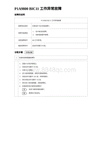 2023海鸥故障诊断 P1A9800 BIC11 工作异常故障