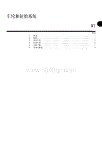 车轮和轮胎系统 WT