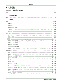 2020睿行M80维修手册CNG- 3.1 发动机