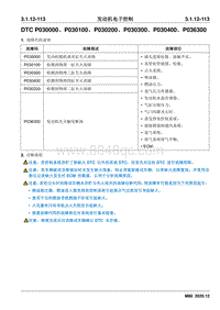 2020睿行M80维修手册 DTC P030000 P030100 P030200 P030300 P030400 P036300