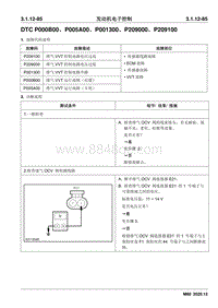 2020睿行M80维修手册 DTC P000B00 P005A00 P001300 P209000 P209100