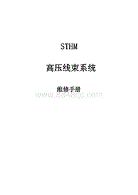 2021唐DM-i STHM 高压线束维修手册