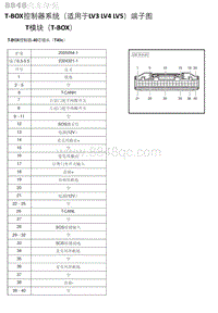 2022北京魔方 T-BOX控制器系统（适用于LV3 LV4 LV5）端子图