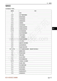 2021年星途TX超能四驱版电路图-缩略语