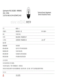 2017玛莎拉蒂总裁 00.20.021-发动机冷却液