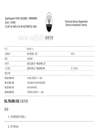 2017玛莎拉蒂总裁发动机维修手册 01.70-水散热器