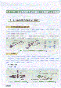 汽车机修-汽车职业技能培训教材 11 第十一章 传动系万向传动装置的构造原理与故障检修