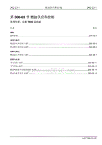 2016年众泰T600运动版维修手册 300-03 燃油供应和控制