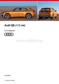 SSP672-Audi Q8 （车型 4M）