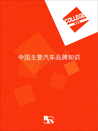 中国主要汽车品牌知识培训手册_雷神咨询(103页)