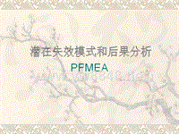 (PFMEA)汽车行业过程失效模式分析
