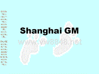 上海通用汽车品牌策略(PPT30)(1)