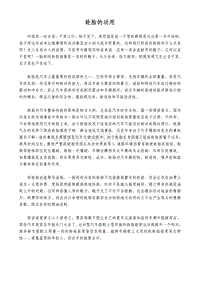 汽车轮胎(pdf67)(1)