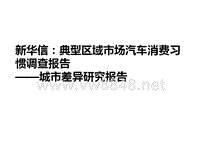 新华信典型区域市场汽车消费习惯调查报告