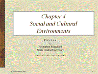 ch04SocialandCulturalEnvironments(全球营销,沃伦