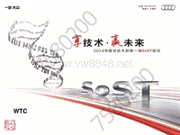 奥迪经典故障案例-WTC-SoST-2014年第一期