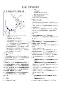 比亚迪L3车身