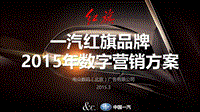 2015一汽红旗品牌数字营销方案（电众数码）